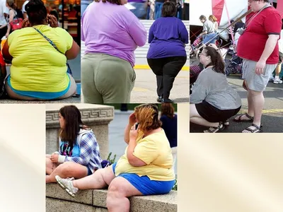 Почему в США так много людей с ожирением? Причина этому — пищевые привычки,  о которых вы не знали | Мода в деталях | Дзен