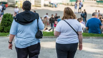 NEWSru.com :: Россия догнала США по распространенности ожирения