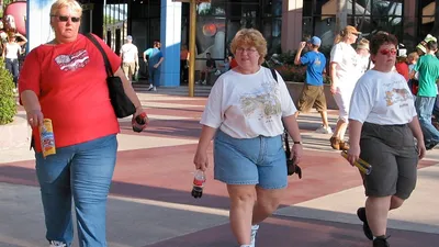 Половина жителей США будет страдать от ожирения к 2030 году | ИА Красная  Весна