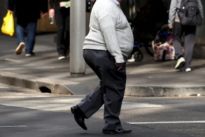 Bloomberg: к 2030 году каждый второй житель США будет страдать ожирением |  Report.az
