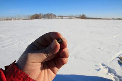 Челябинскому метеориту – 10 лет. И он единственный, в честь которого  назвали национальный турмаршрут | Ассоциация Туроператоров