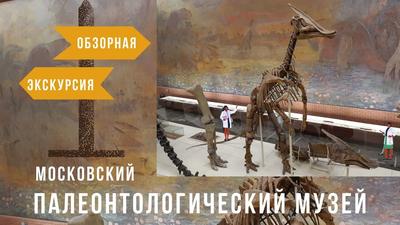 Палеонтологический музей — ШКОЛА.МОСКВА