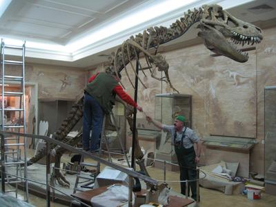 UrixBlog.com » Paleontological Museum (russian)