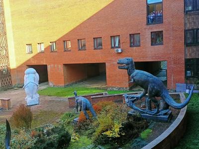 Палеонтологический музей в Москве - стоит ли идти и что там посмотреть! -  YouTube