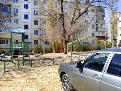 Город был оранжереей. Когда в Днепре улицы украшали пальмы (фото) |  Дніпровська порадниця