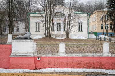 В ХХ веке Москву украшали южными растениями. Почему от этого отказались -  Российская газета