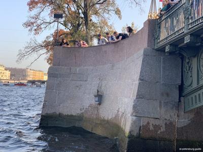 Памятники/скульптуры в Петербурге: Остап Бендер, Чижик-Пыжик, Екатерина II,  Кот Елисей, Кошка Василиса, Пётр I | Пикабу