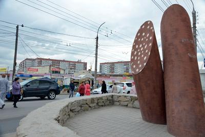 Памятник колбасе в Новосибирске фото