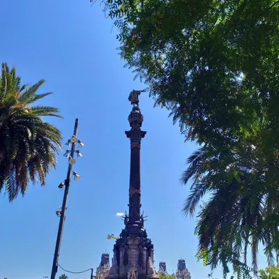 Памятник Колумбу В Барселоне Испания — стоковые фотографии и другие  картинки Американская культура - Американская культура, Барселона -  Испания, Без людей - iStock