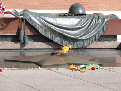 Сайт \"Молодая Гвардия\". Могила неизвестного солдата в Москве