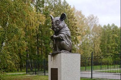 Памятник героям мирного времени, пожарным и спасателям, Новосибирск: лучшие  советы перед посещением - Tripadvisor