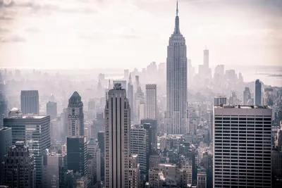 Панорама Нью Йорка с высокими небоскребами Фото Фон И картинка для  бесплатной загрузки - Pngtree