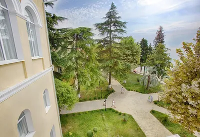 Пансионат Лазурный Берег 0* (Гагра, Абхазия), забронировать тур в отель –  цены 2024, отзывы, фото номеров, рейтинг отеля.