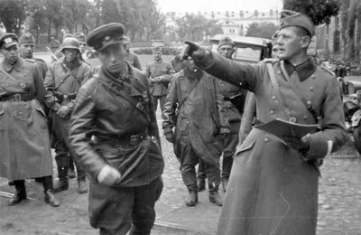 Был ли совместный парад немецких и советских войск в Бресте в 1939 году?» —  Яндекс Кью
