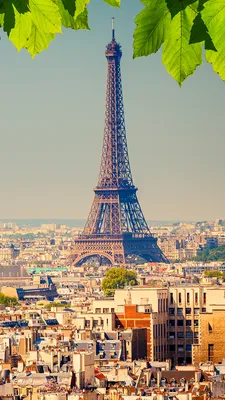 Париж Эйфелева Башня Франция - Бесплатное фото на Pixabay - Pixabay