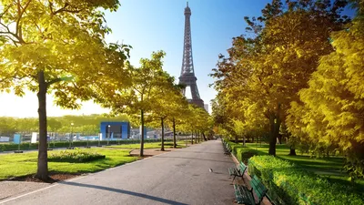 Paris Eiffel Tower From The View Of Roadside With Blue Sky Background 4K HD  Travel Wallpapers | HD Wallpapers | ID #43960