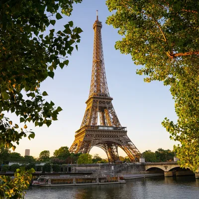 From London: Luxury Paris Full-Day Trip | GetYourGuide