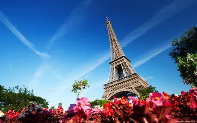 Обои на рабочий стол Осень, Эйфелева башня на фоне реки Сена осенью /  Eiffel tower, Paris, France, обои для рабочего стола, скачать обои, обои  бесплатно