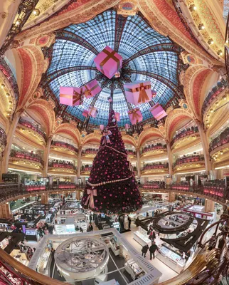 File:Galerie Lafayette Haussmann Dome.jpg - Wikipedia