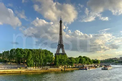 Бесплатные прогулки для детей этим летом в Париже: хорошие семейные планы  на летние каникулы - Sortiraparis.com