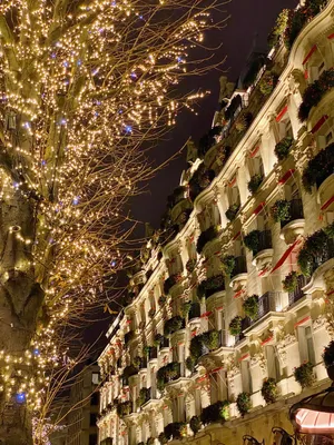 6 Fantastic Ways to Celebrate Christmas in Paris