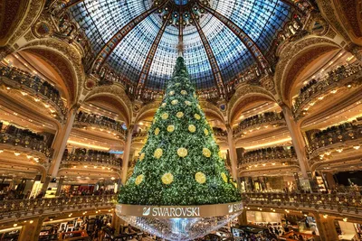Christmas in Paris, France | Christmas in paris, Best christmas markets,  Eiffel
