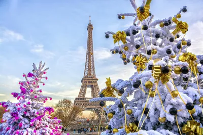 Рождественская феерия: когда Париж нас восхищает...