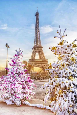 23.12.2023 - Рождество в Париже 🎄