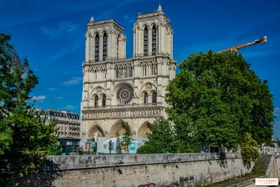 Историческая трагедия: в Париже горит легендарный собор Нотр-Дам – видео