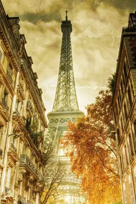 Регата в Тюрильи 1943 год Париж | Картинки парижа, Фотография парижа,  Старый париж