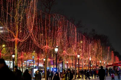 15 отличных мест для рождественских фотографий в Париже 2023, чтобы  насладиться волшебной иллюминацией - Sortiraparis.com