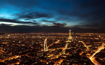 Париж с высоты птичьего полета :: Лидия Цапко – Социальная сеть ФотоКто