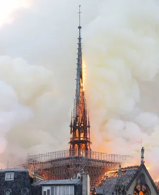 Крыша собора Парижской Богоматери полностью обрушилась из-за пожара — РБК