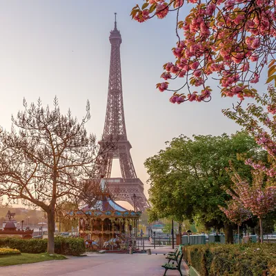 12 Beautiful Reasons To Visit Paris In The Spring | TravelAwaits