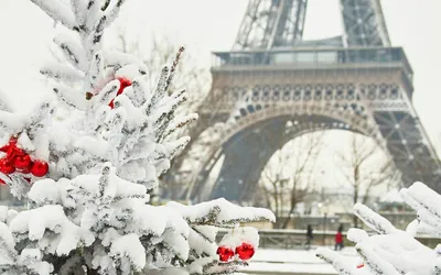 Улица Парижа в Праге в светах -го декабре, декоративных на деревьях  Редакционное Стоковое Фото - изображение насчитывающей викэнд, париж:  63573308