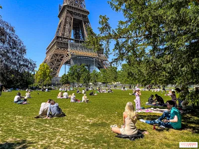 Panorama Of Paris — стоковые фотографии и другие картинки Париж - Франция -  Париж - Франция, Эйфелева башня, Балкон - iStock