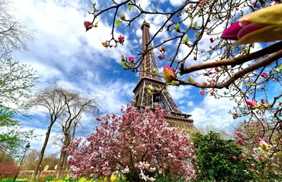 Париж в мае фото