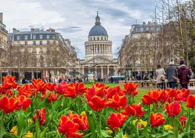 Париж и целый мир - Paris10.ru - Дорогие подписчицы! Поздравляем вас с 8  марта! ❤🌹 По французской традиции желаем вам равноправия и успехов в  труде. А от русского сердца шлем вам лучи