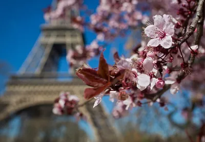 Париж Марта 2019 Года Вид Город Лондон Великобритания стоковое фото  ©Wirestock 562285490