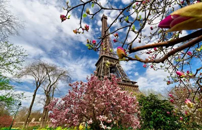 Paris-express - 🇫🇷Как правило, в марте в Париже еще прохладно, средняя  температура 8-10 градусов. Поэтому необходима одежда для любой погоды. .  🇫🇷Вы можете взять с собой легкую рубашку и брюки или платье