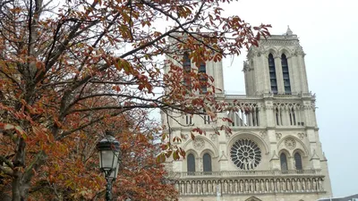 Париж в ноябре: теплые краски французской осени - Личное впечатление