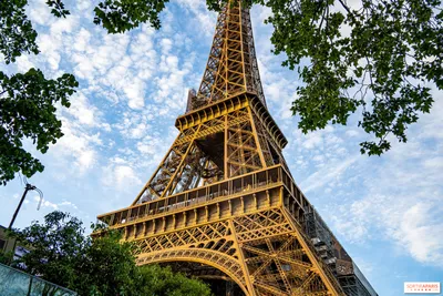 What to do near the Eiffel Tower: exhibitions to see in the area -  Sortiraparis.com