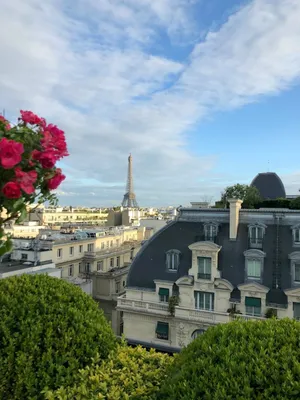 Fun Facts about Paris, the \"City of Lights\" | MEININGER Hotels