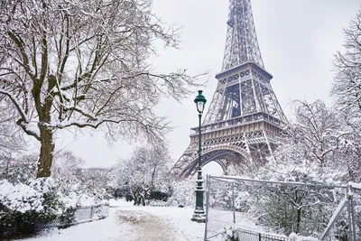 Париж в снегу в столице Du Palais Royal Jardin Парижа Франции Стоковое  Изображение - изображение насчитывающей цветок, снежок: 209529147