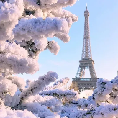 вхурделило Париж под снегом... | Paris tour eiffel, Paris wallpaper, Eiffel  tower photography