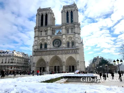 Снег в Париже. Фото достопримечательностей Парижа в снегу