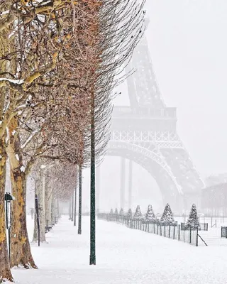 Фотообои париж зимой (9-729)