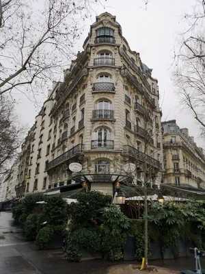 Зима в Париже - 72 фото