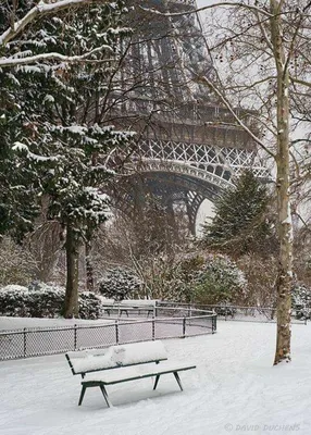 Лайфхаки для туристов - Улицы Парижа зимой Streets of Paris during Winter  ❄️🖤⛄️ 👉 travelloapp.app.link/Travelinspiration Find Your Dream  Destination on Travello 🌏 📸 WonguyPhotography | Facebook