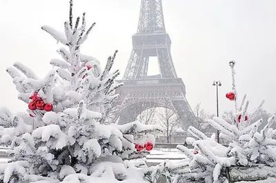 Париж и целый мир - Paris10.ru - В вашем городе уже есть снег? ☃️ В Париже  снега нет и пока не ожидается. Осень стоит очень теплая, и вы об этом  знаете, если